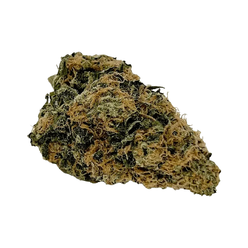 MAC 2