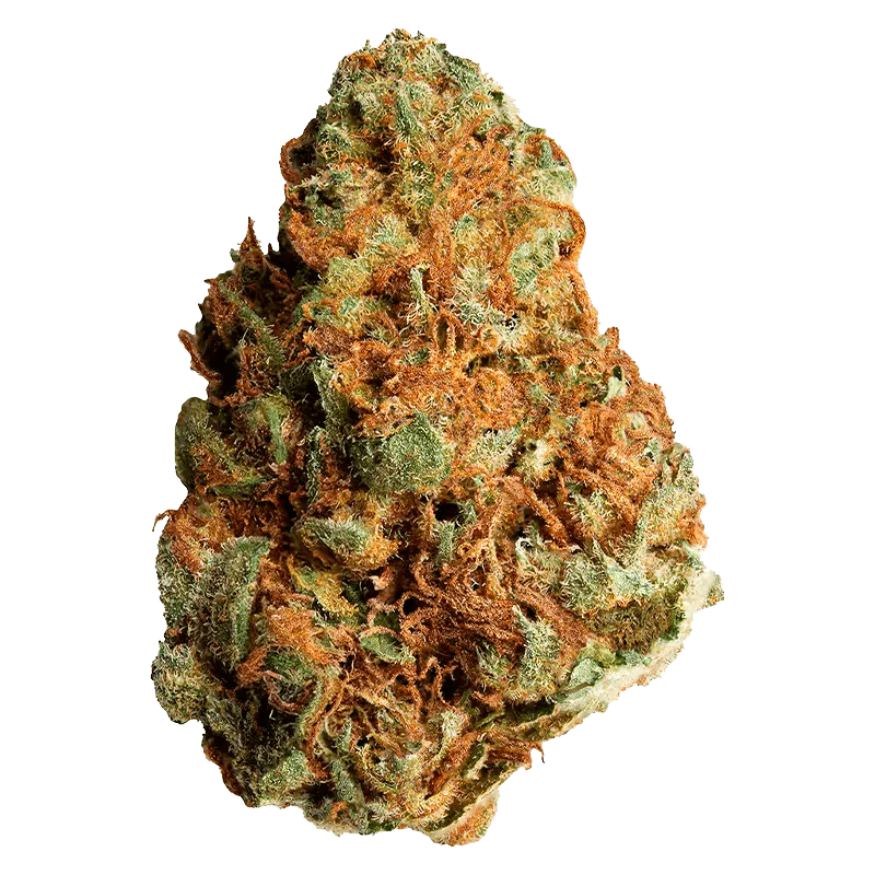 Peanut Butter Breath