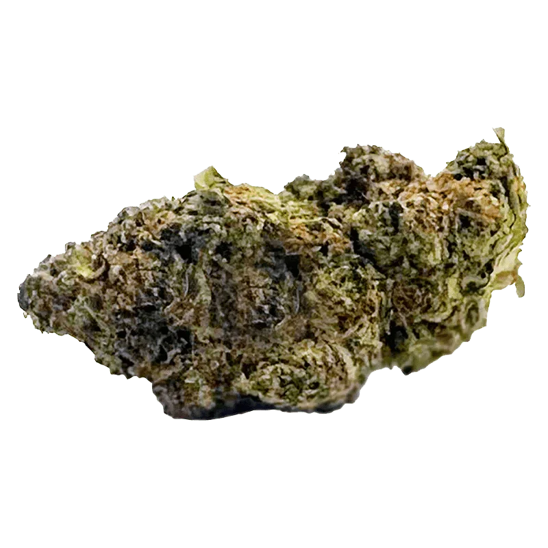 East Coast Dank'z