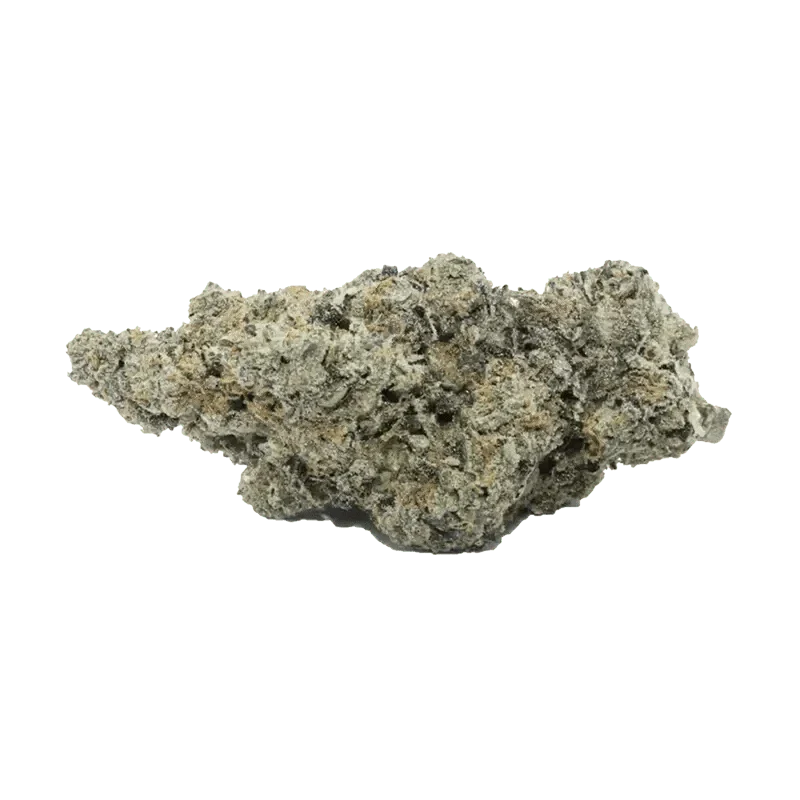 Sativa