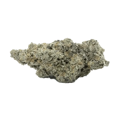 Sativa