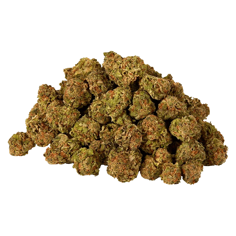 Sativa