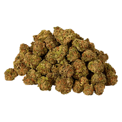 Sativa
