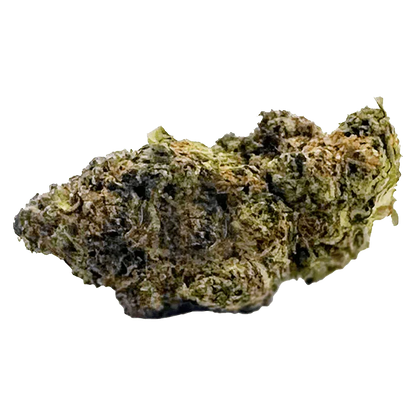 East Coast Dank'z