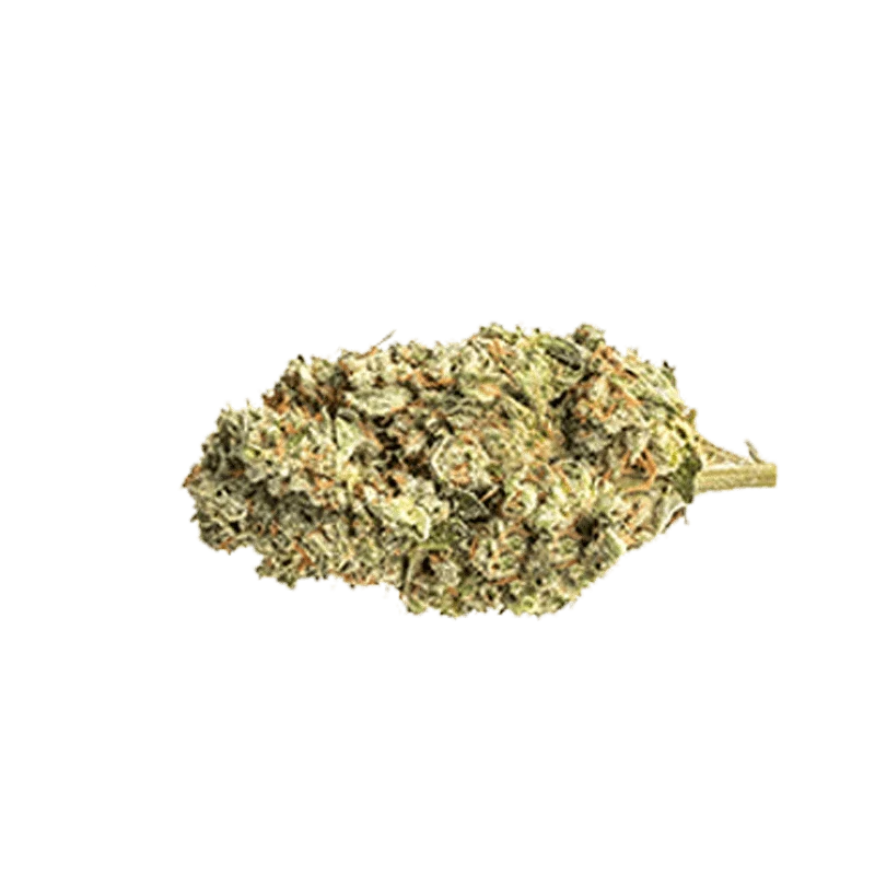 Black Sherb